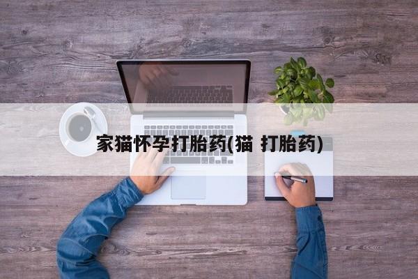 打胎药在线购买微信家猫怀孕打胎药(猫 打胎药)