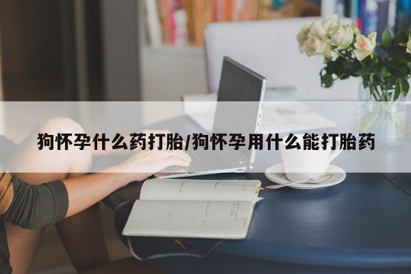 打胎药在线购买微信狗怀孕什么药打胎/狗怀孕用什么能打胎药